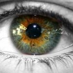 болотный цвет глаз