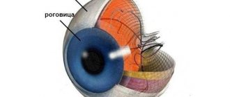 What is sclera