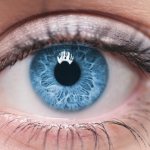 Глаз - орган зрения человека