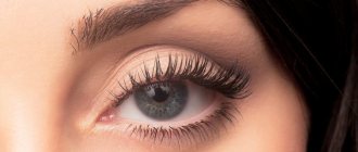 Eye