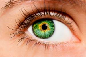 Как подобрать цветные линзы на зеленые глаза?