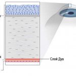 как устроена роговица глаза