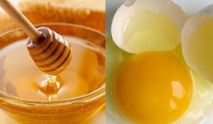 Лечение глаз медом и яйцом фото
