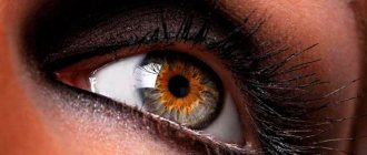 Люди с редким цветом глаз существуют, и они живут среди нас