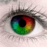 The main cause of color blindness is disruption of the color-sensitive receptors.