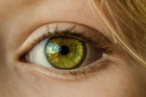От глаукомы до катаракты. Как вовремя распознать болезни глаз | Изображение Rudy and Peter Skitterians с сайта Pixabay