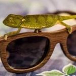 Рейтинг фотохромных линз 2021