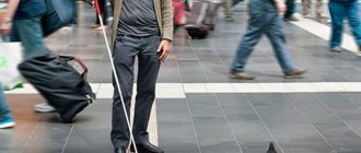 employment of the blind
