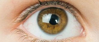 century human eyes